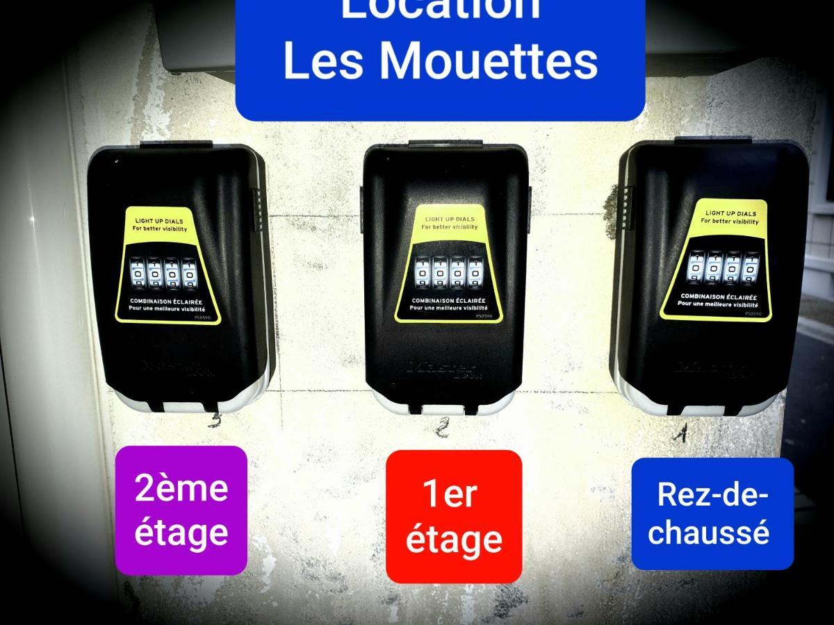 Les Mouettes 3 Le Tréport